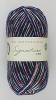 WYS - Signature 4 Ply - Country Birds - 1169 Starling